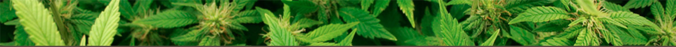 top-header | Grow Controlled